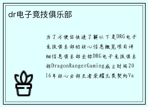 dr电子竞技俱乐部